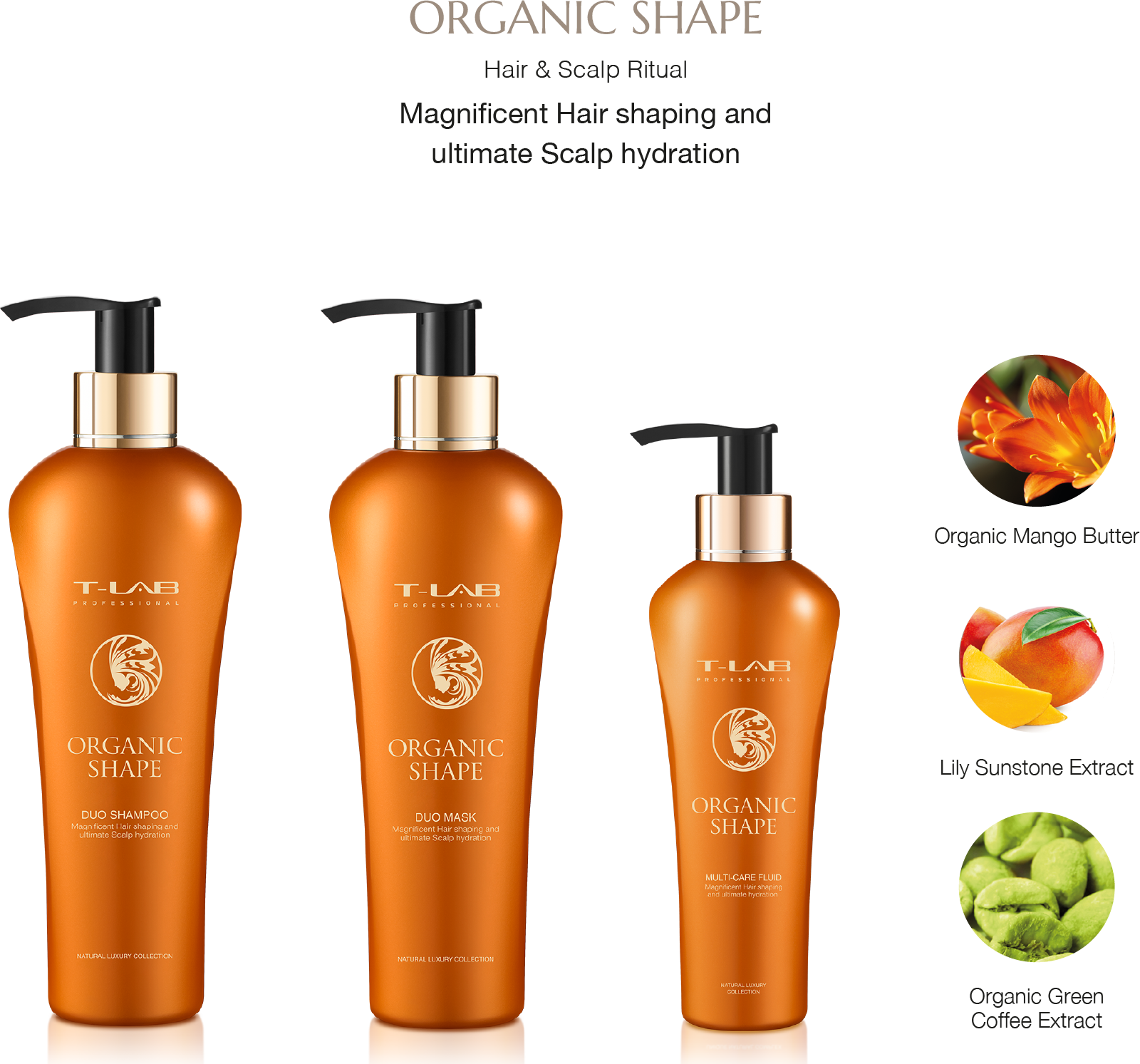 Organic Shape Ritual